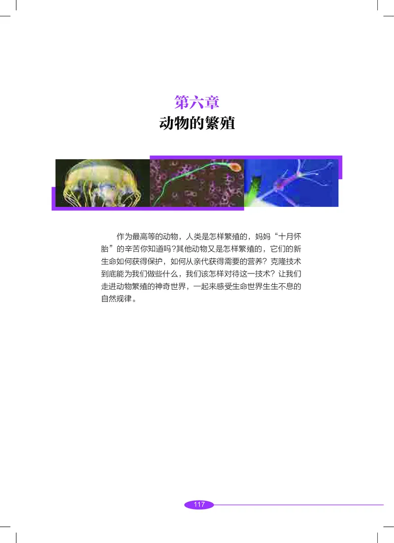 沪教版8年级科学下册高清教材_4-教培资料-26年最新资料-同步更新_初中高中教资_03科三专项（进去保存报考的学科即可）_02科三专项（笔记真题思维导图教学设计版本二）