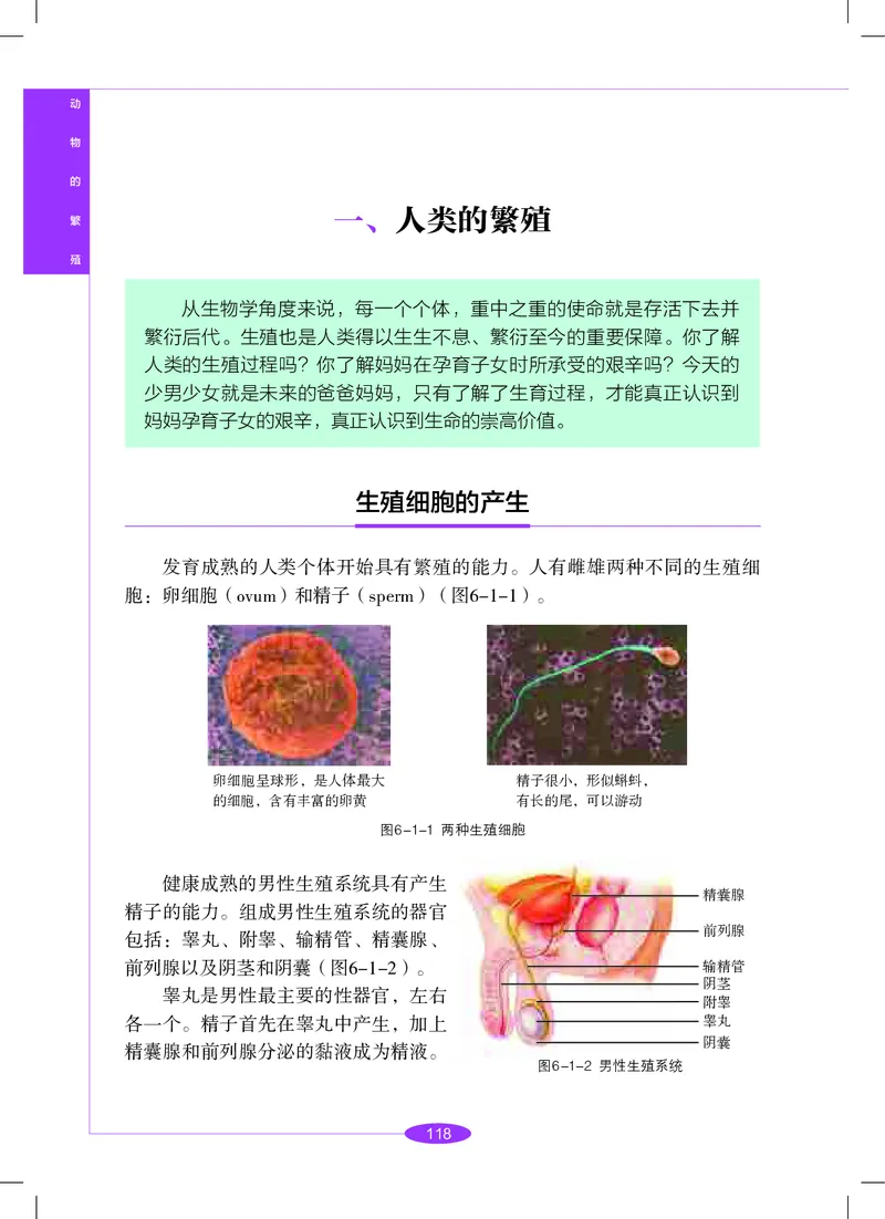 沪教版8年级科学下册高清教材_4-教培资料-26年最新资料-同步更新_初中高中教资_03科三专项（进去保存报考的学科即可）_02科三专项（笔记真题思维导图教学设计版本二）