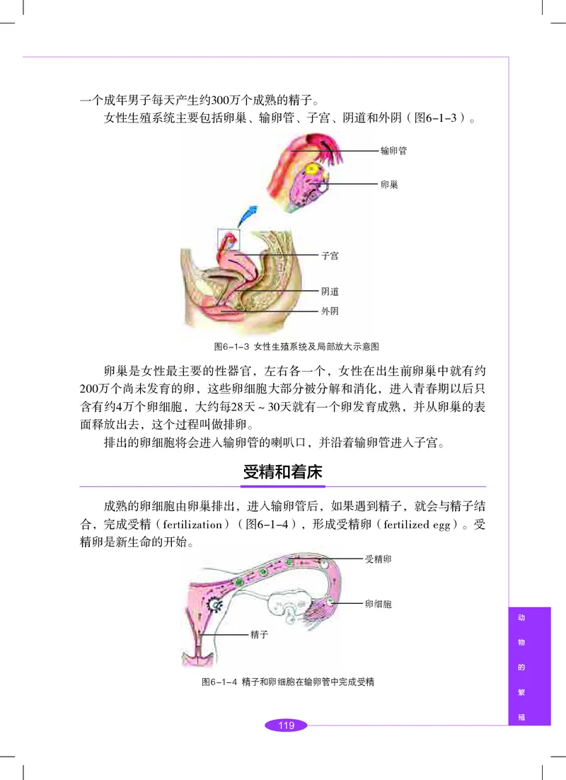 沪教版8年级科学下册高清教材_4-教培资料-26年最新资料-同步更新_初中高中教资_03科三专项（进去保存报考的学科即可）_02科三专项（笔记真题思维导图教学设计版本二）