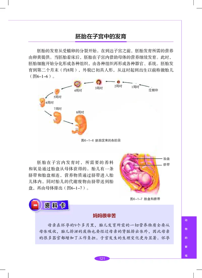 沪教版8年级科学下册高清教材_4-教培资料-26年最新资料-同步更新_初中高中教资_03科三专项（进去保存报考的学科即可）_02科三专项（笔记真题思维导图教学设计版本二）