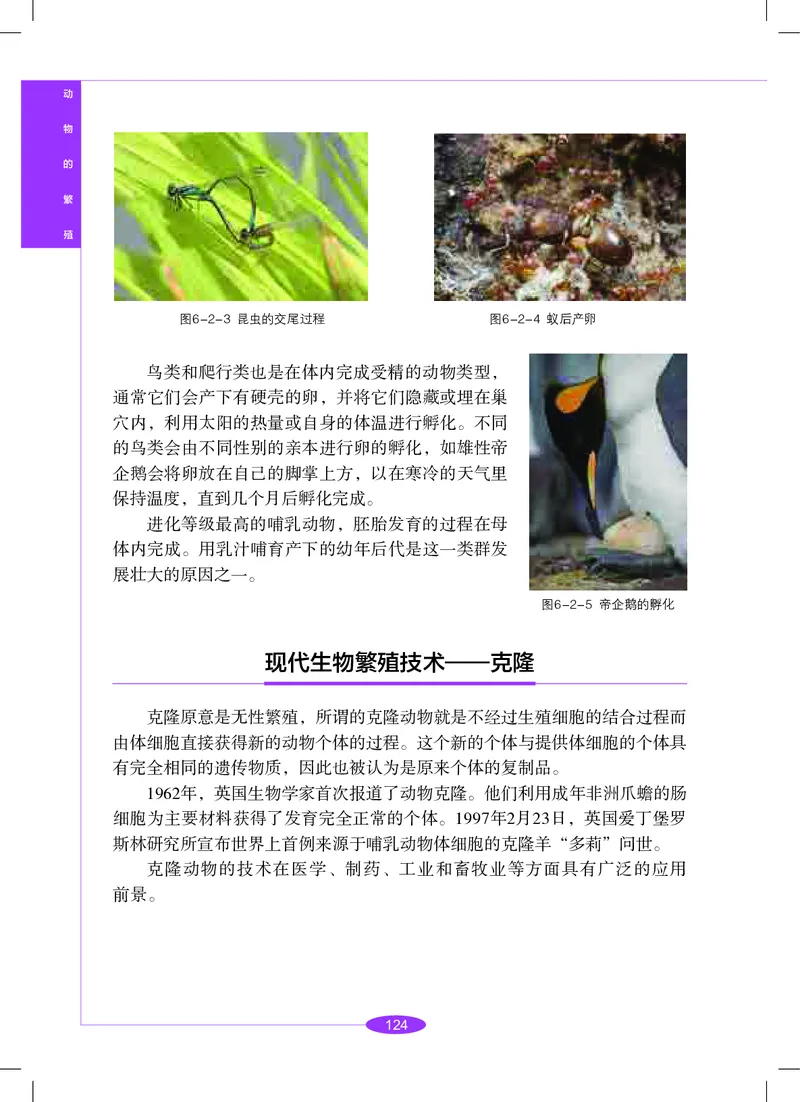 沪教版8年级科学下册高清教材_4-教培资料-26年最新资料-同步更新_初中高中教资_03科三专项（进去保存报考的学科即可）_02科三专项（笔记真题思维导图教学设计版本二）