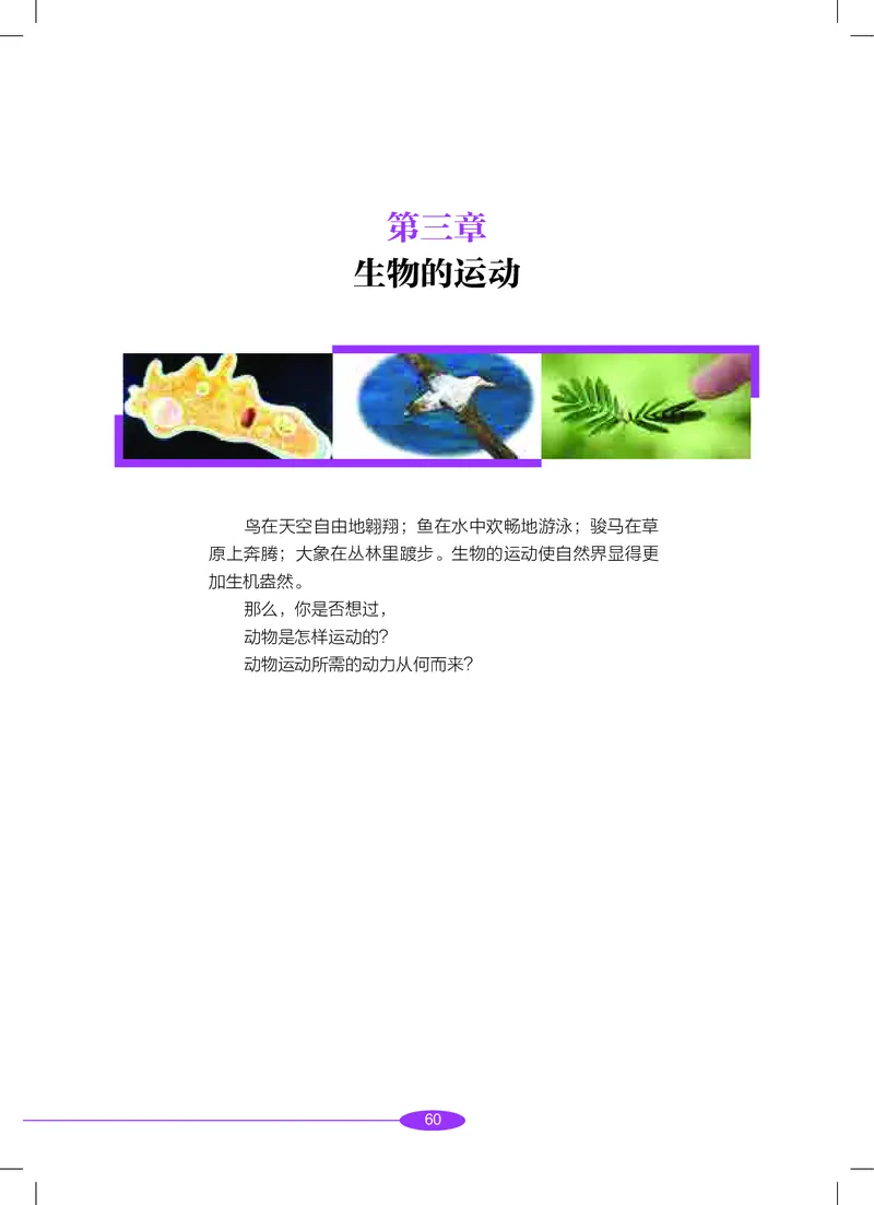 沪教版8年级科学下册高清教材_4-教培资料-26年最新资料-同步更新_初中高中教资_03科三专项（进去保存报考的学科即可）_02科三专项（笔记真题思维导图教学设计版本二）