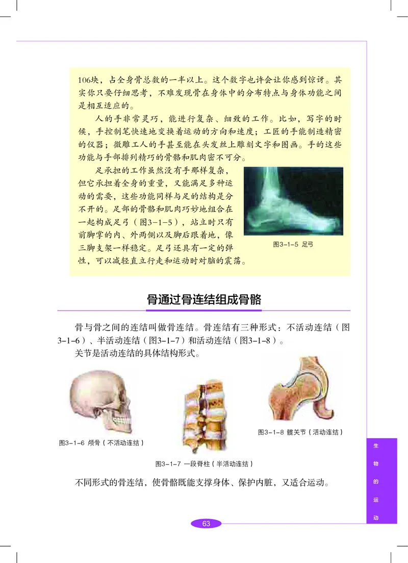 沪教版8年级科学下册高清教材_4-教培资料-26年最新资料-同步更新_初中高中教资_03科三专项（进去保存报考的学科即可）_02科三专项（笔记真题思维导图教学设计版本二）