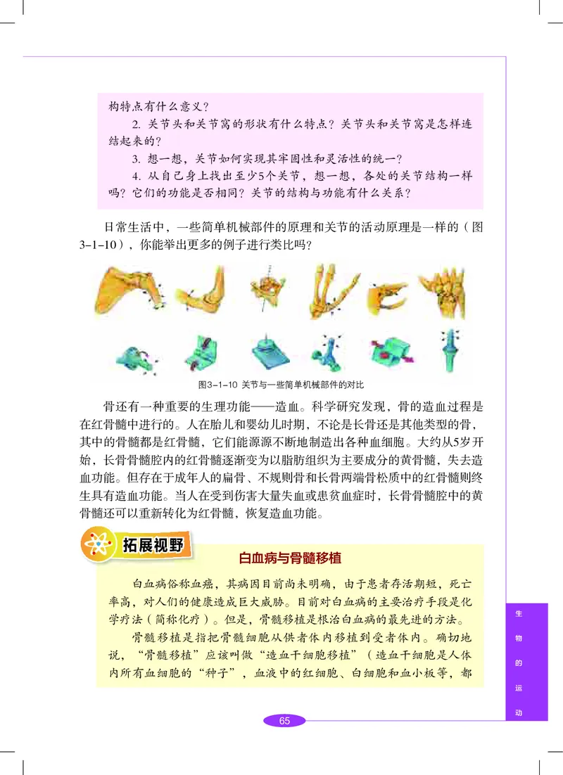 沪教版8年级科学下册高清教材_4-教培资料-26年最新资料-同步更新_初中高中教资_03科三专项（进去保存报考的学科即可）_02科三专项（笔记真题思维导图教学设计版本二）