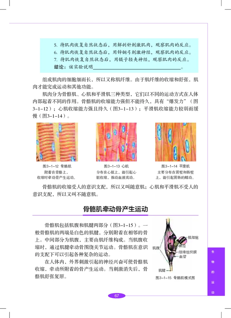 沪教版8年级科学下册高清教材_4-教培资料-26年最新资料-同步更新_初中高中教资_03科三专项（进去保存报考的学科即可）_02科三专项（笔记真题思维导图教学设计版本二）