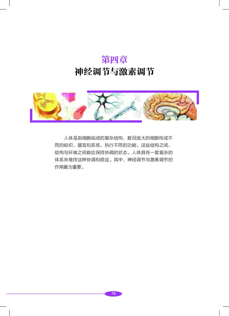 沪教版8年级科学下册高清教材_4-教培资料-26年最新资料-同步更新_初中高中教资_03科三专项（进去保存报考的学科即可）_02科三专项（笔记真题思维导图教学设计版本二）