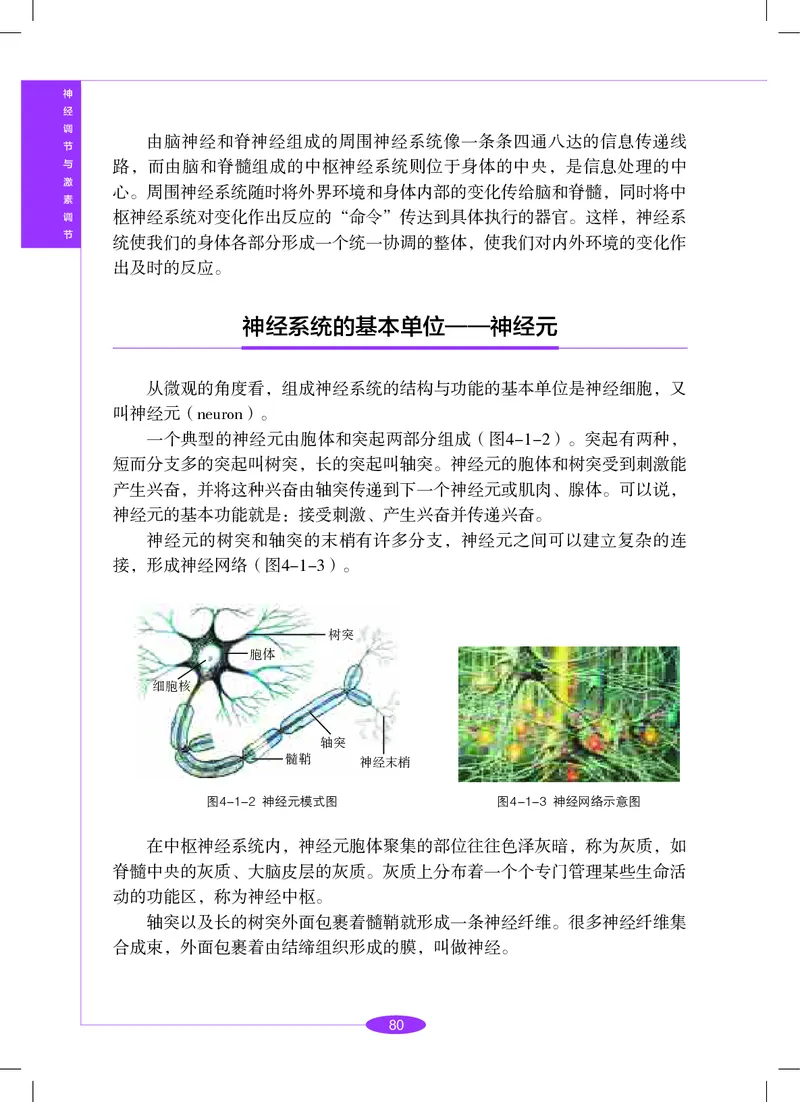 沪教版8年级科学下册高清教材_4-教培资料-26年最新资料-同步更新_初中高中教资_03科三专项（进去保存报考的学科即可）_02科三专项（笔记真题思维导图教学设计版本二）