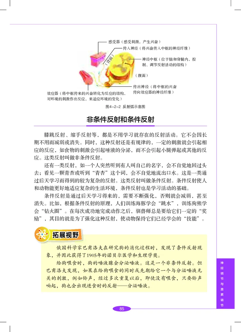 沪教版8年级科学下册高清教材_4-教培资料-26年最新资料-同步更新_初中高中教资_03科三专项（进去保存报考的学科即可）_02科三专项（笔记真题思维导图教学设计版本二）