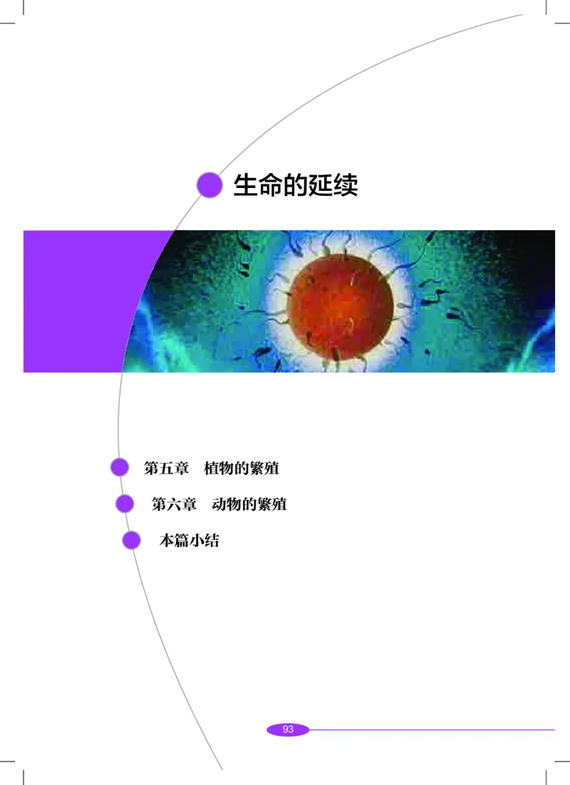 沪教版8年级科学下册高清教材_4-教培资料-26年最新资料-同步更新_初中高中教资_03科三专项（进去保存报考的学科即可）_02科三专项（笔记真题思维导图教学设计版本二）