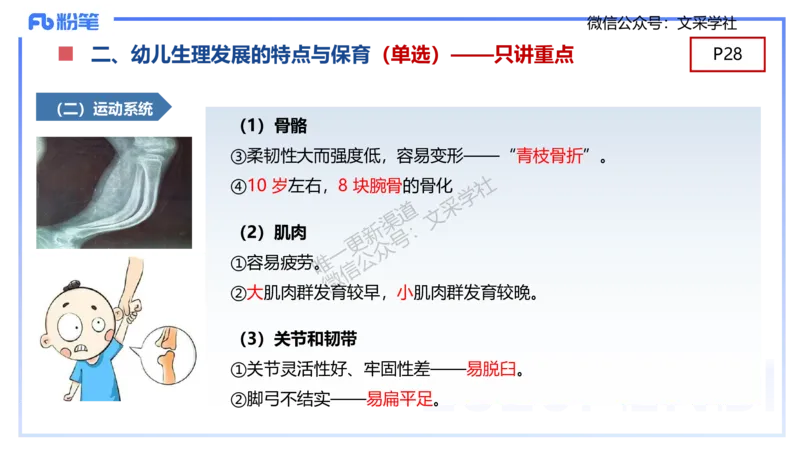 幼儿科目二理论精讲3&mdash;保教知识与能力&mdash;袁枍_4-教培资料-26年最新资料-同步更新_幼儿教资_012025下FB幼儿系统班_幼儿园25下-保教知识与能力_1.理论精讲_讲义