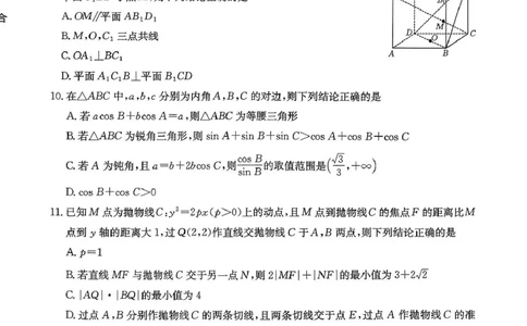 贵州省2026届高三上学期11月期中联考数学+答案_251126贵州省金太阳2026届高三上学期11月期中联考（25-107C）
