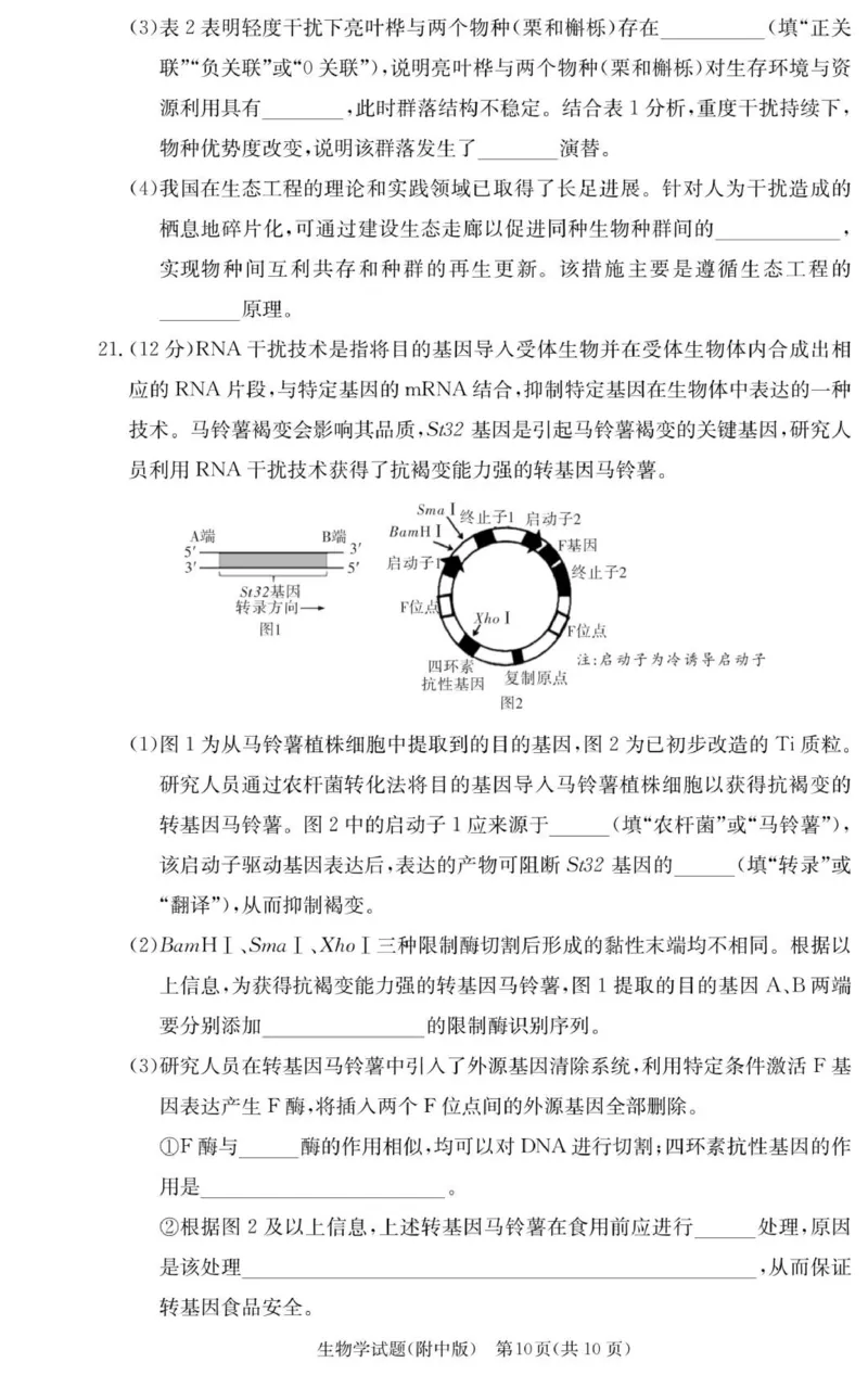生物试卷（附中高三3次）_251103湖南省长沙市湖南师范大学附属中学2025-2026学年高三上学期月考卷（三）（全科）