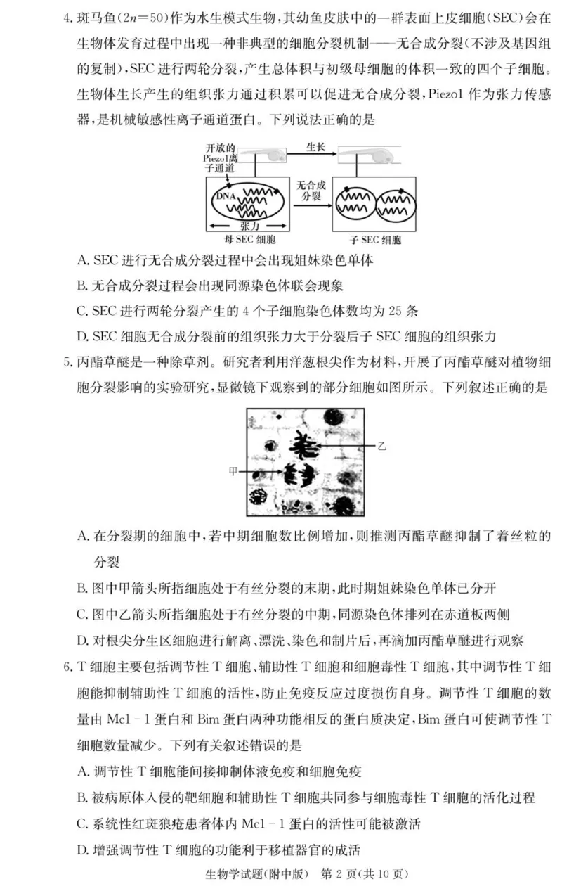 生物试卷（附中高三3次）_251103湖南省长沙市湖南师范大学附属中学2025-2026学年高三上学期月考卷（三）（全科）