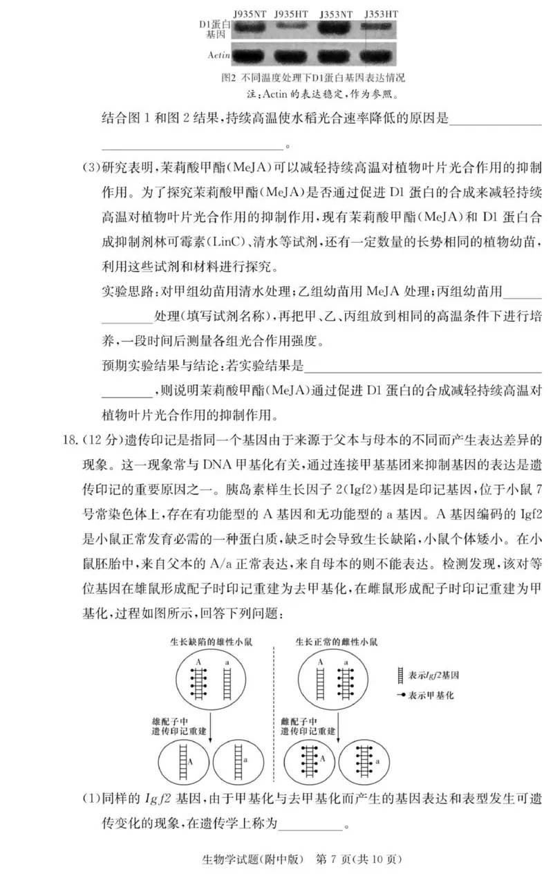 生物试卷（附中高三3次）_251103湖南省长沙市湖南师范大学附属中学2025-2026学年高三上学期月考卷（三）（全科）