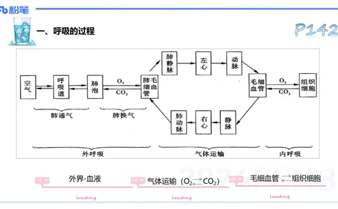 理论精讲09&mdash;运动生理学4-陈晶晶(1)_4-教培资料-26年最新资料-同步更新_初中高中教资_03科三专项（进去保存报考的学科即可）_初中_初中体育-通关资料包_3.课程FB系统班课程