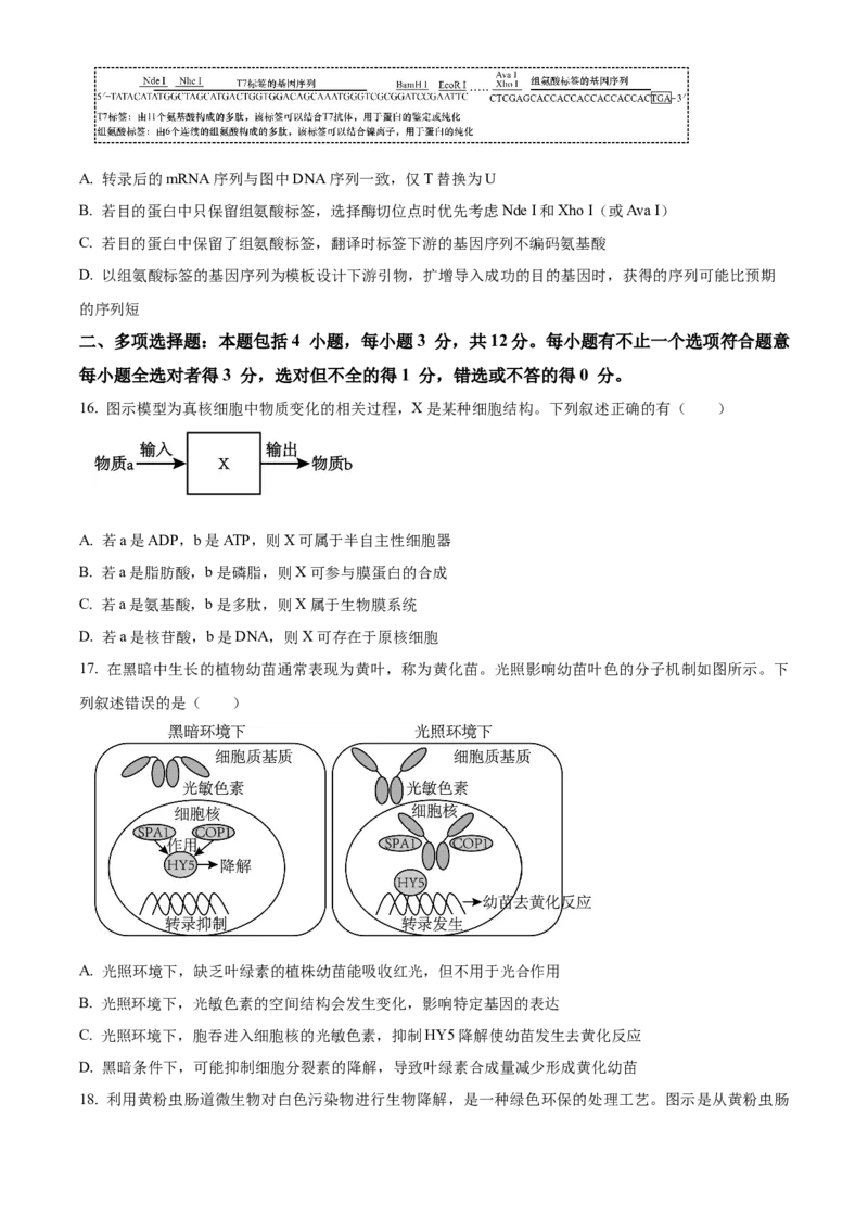 2026届江苏省南京市鼓楼区南京市第二十九中学模拟预测生物试题Word版无答案_2025年7月_250728江苏省南京市第二十九中学2026届高三上学期模拟预测试题