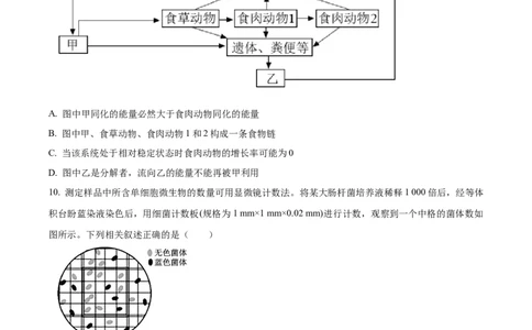 2026届江苏省南京市鼓楼区南京市第二十九中学模拟预测生物试题Word版无答案_2025年7月_250728江苏省南京市第二十九中学2026届高三上学期模拟预测试题