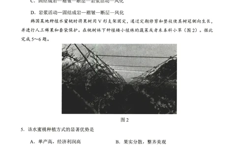山东省实验中学2025-2026学年高三上学期第三次诊断性考试地理试题_2025年12月_251212山东省实验中学2025-2026学年高三上学期第三次诊断性考试