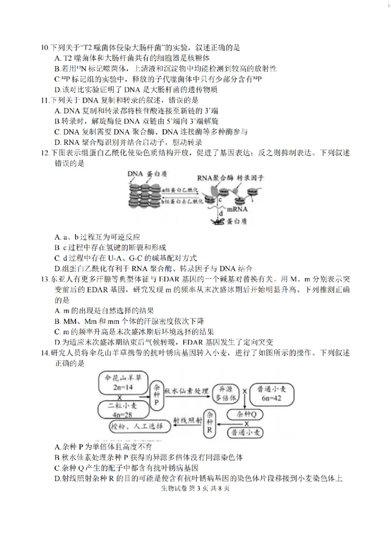 江苏省扬州市2025-2026学年高三上学期11月期中考试生物试题（含答案）_251122江苏省扬州市2025-2026学年高三上学期期中检测（全科）