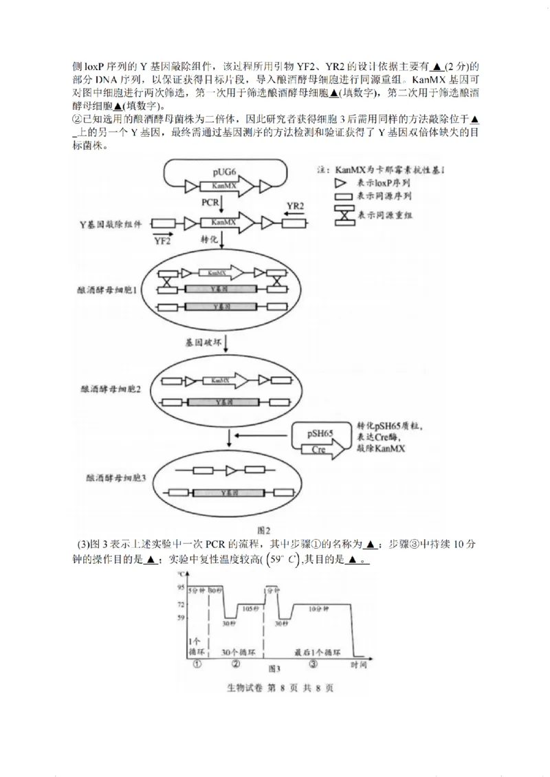 江苏省扬州市2025-2026学年高三上学期11月期中考试生物试题（含答案）_251122江苏省扬州市2025-2026学年高三上学期期中检测（全科）