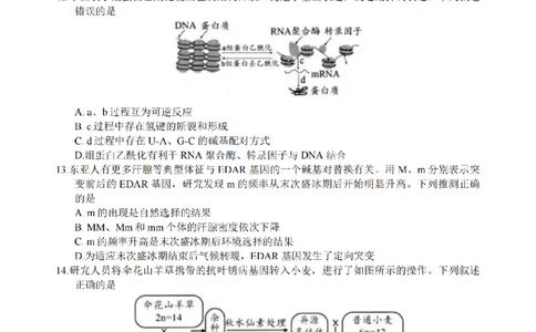 江苏省扬州市2025-2026学年高三上学期11月期中考试生物试题（含答案）_251122江苏省扬州市2025-2026学年高三上学期期中检测（全科）