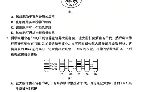 云南师大附中2026届高考适应性月考卷（五）生物_2025年12月_251202云南师大附中2026届高考适应性月考卷（五）（全科）_云南师大附中2026届高考适应性月考卷（五）生物