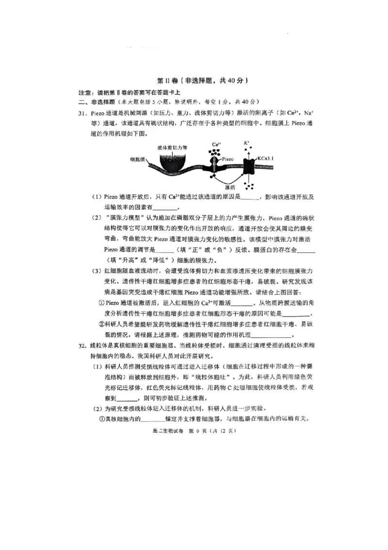 广东省大湾区2024-2025学年高二下学期7月期末考试生物试题_2025年7月_250707广东省大湾区2024-2025学年高二下学期期末统一测试（全科）