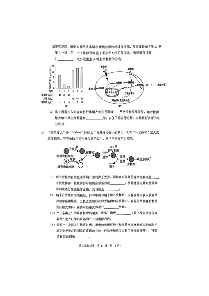 广东省大湾区2024-2025学年高二下学期7月期末考试生物试题_2025年7月_250707广东省大湾区2024-2025学年高二下学期期末统一测试（全科）