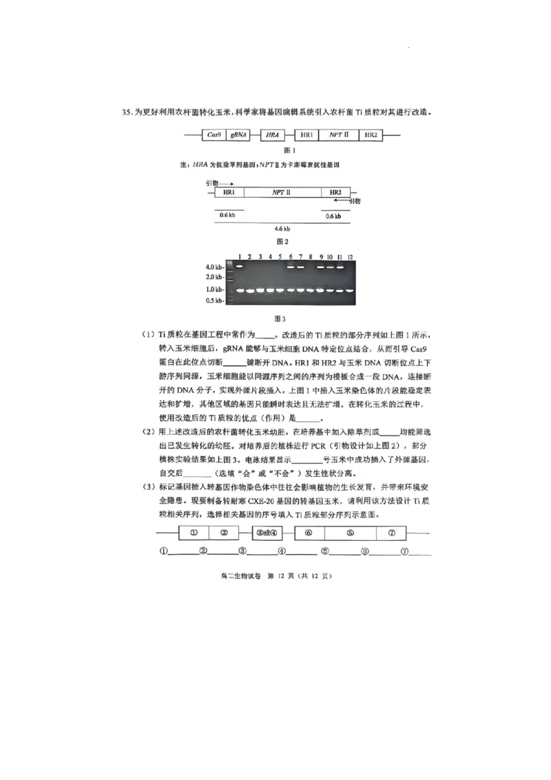 广东省大湾区2024-2025学年高二下学期7月期末考试生物试题_2025年7月_250707广东省大湾区2024-2025学年高二下学期期末统一测试（全科）