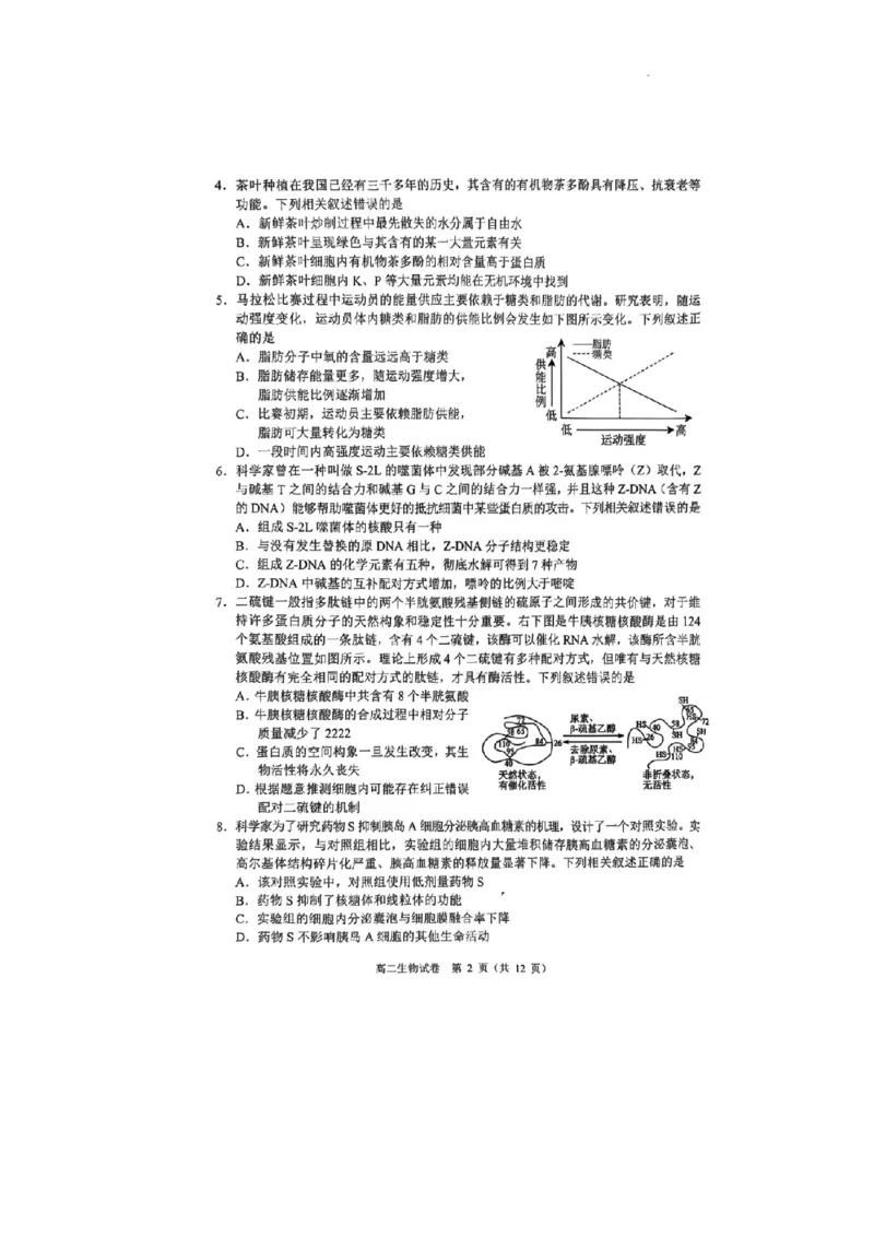 广东省大湾区2024-2025学年高二下学期7月期末考试生物试题_2025年7月_250707广东省大湾区2024-2025学年高二下学期期末统一测试（全科）