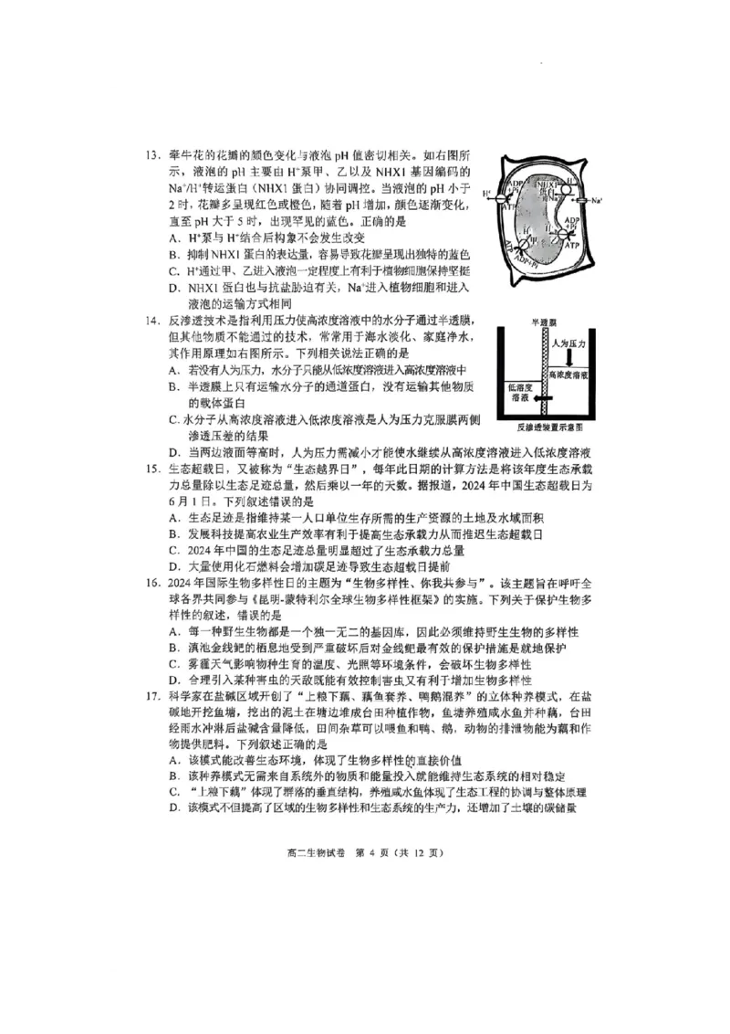 广东省大湾区2024-2025学年高二下学期7月期末考试生物试题_2025年7月_250707广东省大湾区2024-2025学年高二下学期期末统一测试（全科）