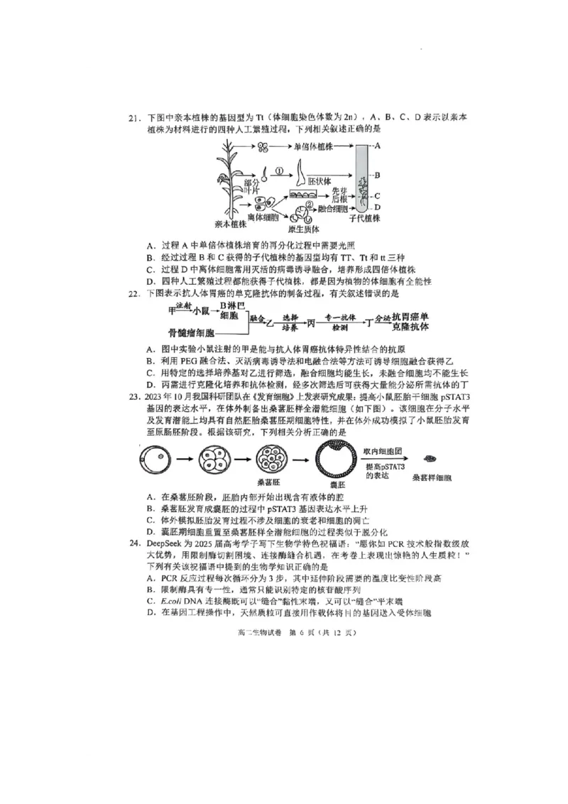 广东省大湾区2024-2025学年高二下学期7月期末考试生物试题_2025年7月_250707广东省大湾区2024-2025学年高二下学期期末统一测试（全科）