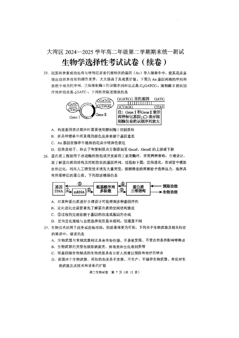 广东省大湾区2024-2025学年高二下学期7月期末考试生物试题_2025年7月_250707广东省大湾区2024-2025学年高二下学期期末统一测试（全科）