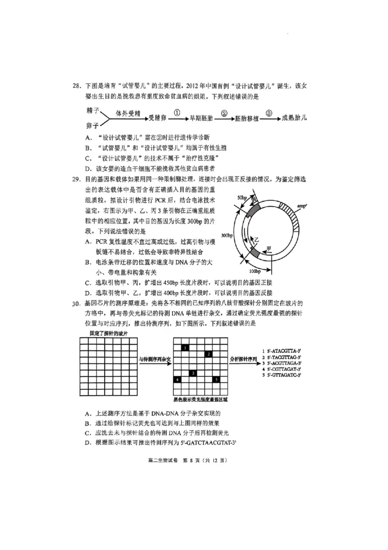 广东省大湾区2024-2025学年高二下学期7月期末考试生物试题_2025年7月_250707广东省大湾区2024-2025学年高二下学期期末统一测试（全科）