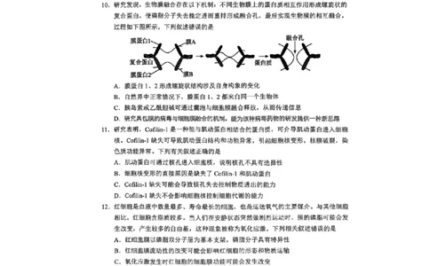 广东省大湾区2024-2025学年高二下学期7月期末考试生物试题_2025年7月_250707广东省大湾区2024-2025学年高二下学期期末统一测试（全科）