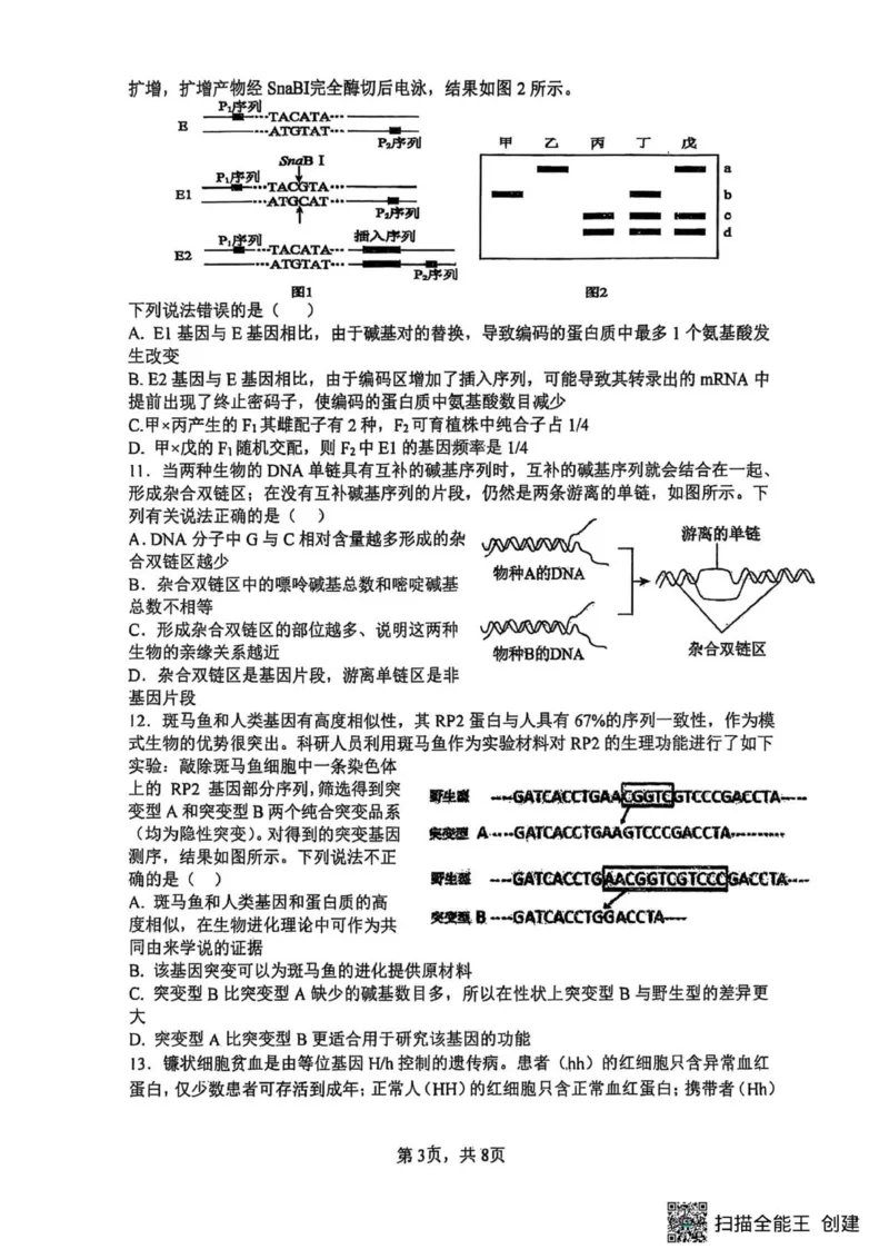 山大附中2025-2026学年第一学期高三生物月考试题_251103山西省太原市山西大学附属中学校2025-2026学年高三上学期10月模块诊断（总第五次）