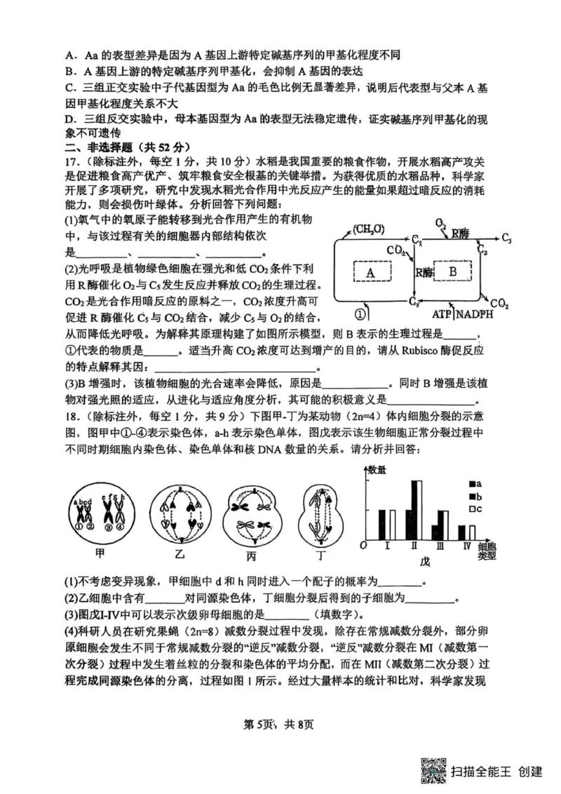 山大附中2025-2026学年第一学期高三生物月考试题_251103山西省太原市山西大学附属中学校2025-2026学年高三上学期10月模块诊断（总第五次）