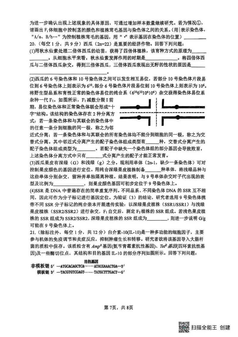 山大附中2025-2026学年第一学期高三生物月考试题_251103山西省太原市山西大学附属中学校2025-2026学年高三上学期10月模块诊断（总第五次）