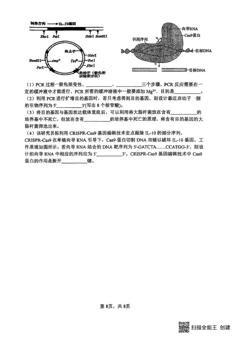 山大附中2025-2026学年第一学期高三生物月考试题_251103山西省太原市山西大学附属中学校2025-2026学年高三上学期10月模块诊断（总第五次）