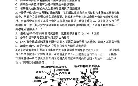 山大附中2025-2026学年第一学期高三生物月考试题_251103山西省太原市山西大学附属中学校2025-2026学年高三上学期10月模块诊断（总第五次）