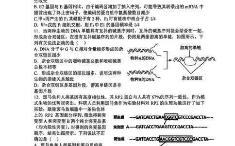 山大附中2025-2026学年第一学期高三生物月考试题_251103山西省太原市山西大学附属中学校2025-2026学年高三上学期10月模块诊断（总第五次）