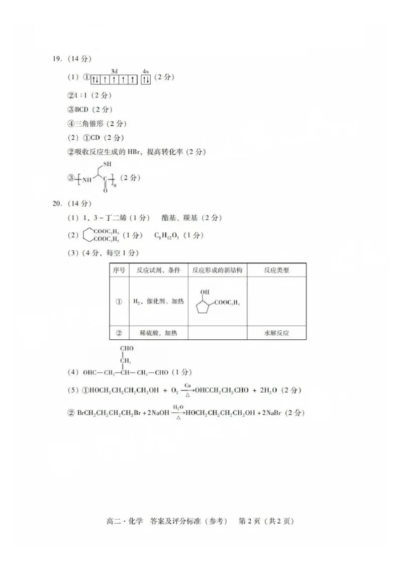 化学答案_2025年7月_250709广东省肇庆市2024-2025学年高二下学期期末考试（全科）_广东省肇庆市2024-2025学年高二下学期期末考试化学试题