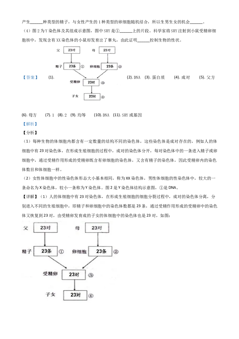 精品解析：2020年重庆市巴南区初中会考生物试题（解析版）_中考真题_8.生物中考真题2015-2024年_2020生物真题74份_精品解析：2020年重庆市巴南区初中会考生物试题