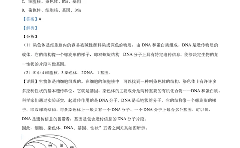 精品解析：2020年重庆市巴南区初中会考生物试题（解析版）_中考真题_8.生物中考真题2015-2024年_2020生物真题74份_精品解析：2020年重庆市巴南区初中会考生物试题