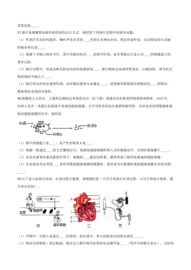 精品解析：2019年山东省潍坊市中考生物试题（原卷版）_中考真题_8.生物中考真题2015-2024年_2019年全国中考生物92份_精品解析：山东省潍坊市2019年中考生物试题