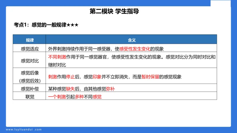 小学科二单选与简答急救（2）_4-教培资料-26年最新资料-同步更新_小学教资_小学冲刺急救包_5.L姨冲刺70分[急救班]_小学冲刺抢分课（25下急救班）_科二_配套讲义(1)