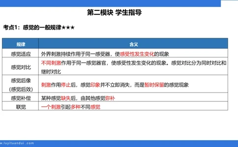 小学科二单选与简答急救（2）_4-教培资料-26年最新资料-同步更新_小学教资_小学冲刺急救包_5.L姨冲刺70分[急救班]_小学冲刺抢分课（25下急救班）_科二_配套讲义(1)