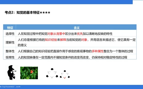 小学科二单选与简答急救（2）_4-教培资料-26年最新资料-同步更新_小学教资_小学冲刺急救包_5.L姨冲刺70分[急救班]_小学冲刺抢分课（25下急救班）_科二_配套讲义(1)