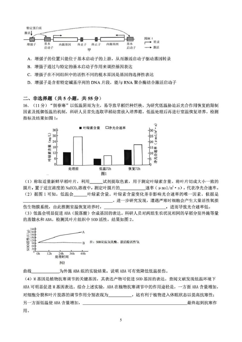 成都石室中学2025-2026学年度上期高2026届一诊模拟考试生物_2025年12月_251217四川省成都石室中学2025-2026学年度上期高2026届一诊模拟考试