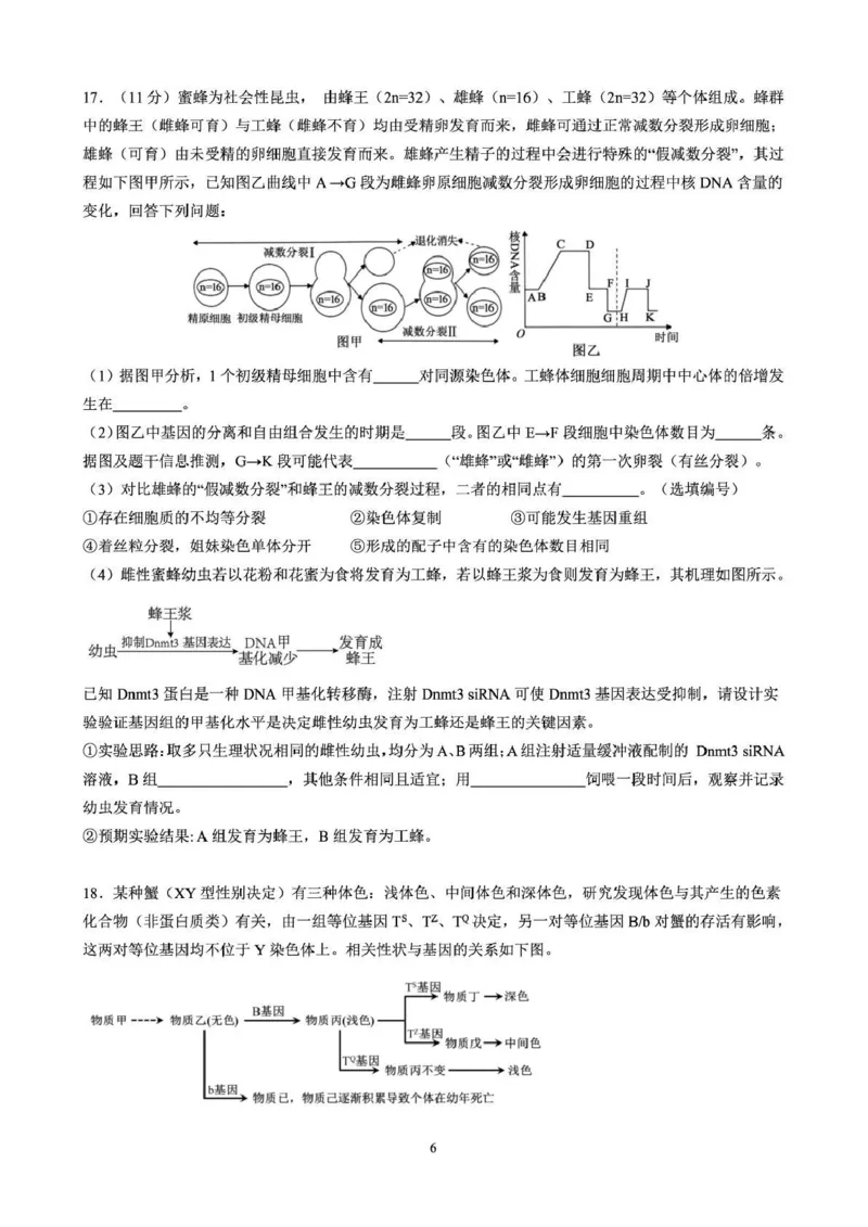 成都石室中学2025-2026学年度上期高2026届一诊模拟考试生物_2025年12月_251217四川省成都石室中学2025-2026学年度上期高2026届一诊模拟考试